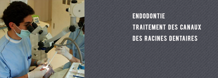 endodontiste