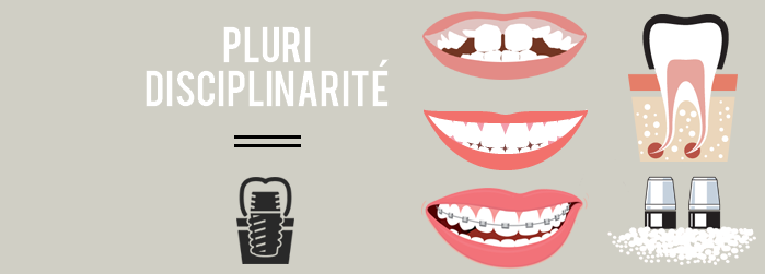 pluridisciplinarite